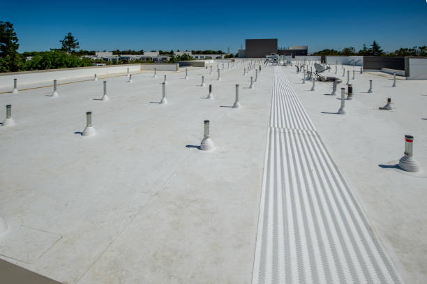 Best Roof Leak Repair  in Wallace, FL